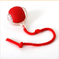 The rolling pet ball in red, a rubber ball inside a clear plastic shell with a knotted rope tail.