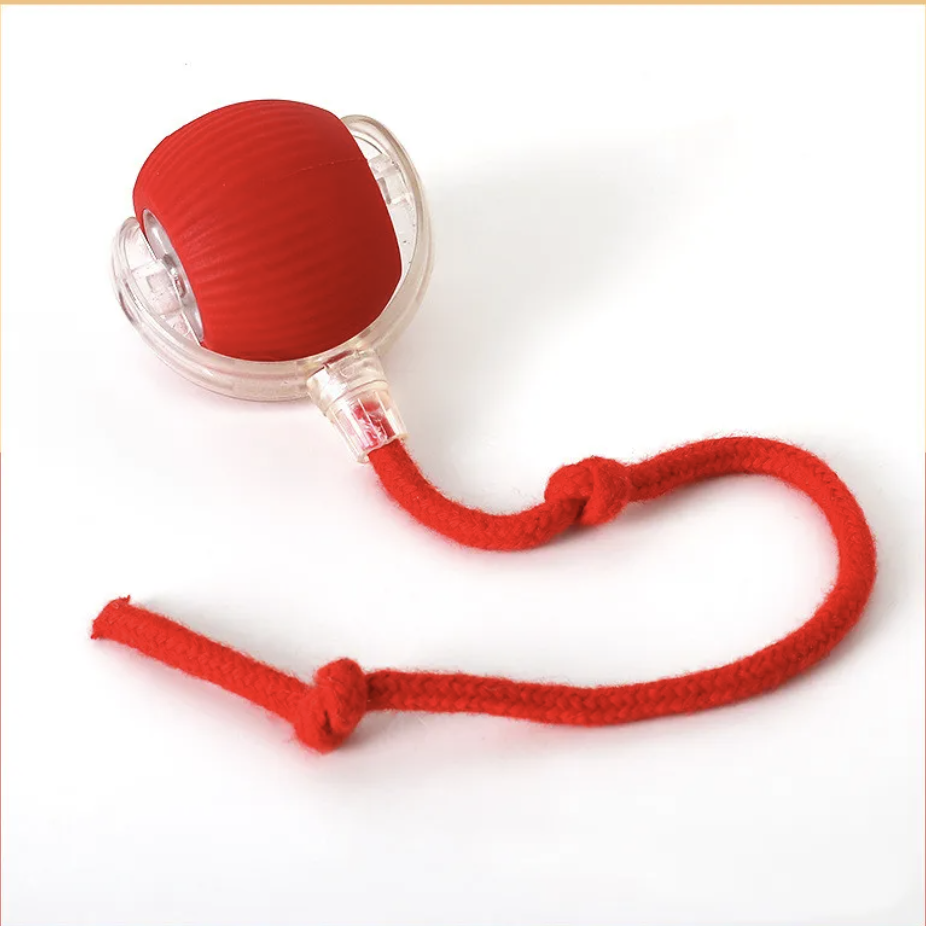 The rolling pet ball in red, a rubber ball inside a clear plastic shell with a knotted rope tail.