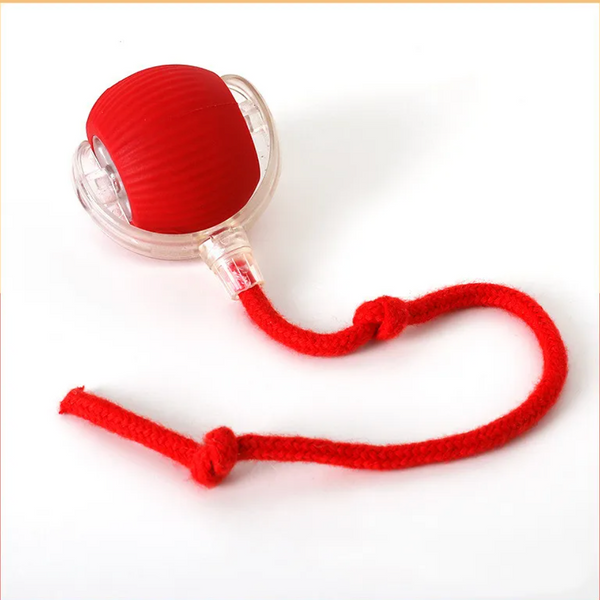 The rolling pet ball in red, a rubber ball inside a clear plastic shell with a knotted rope tail.