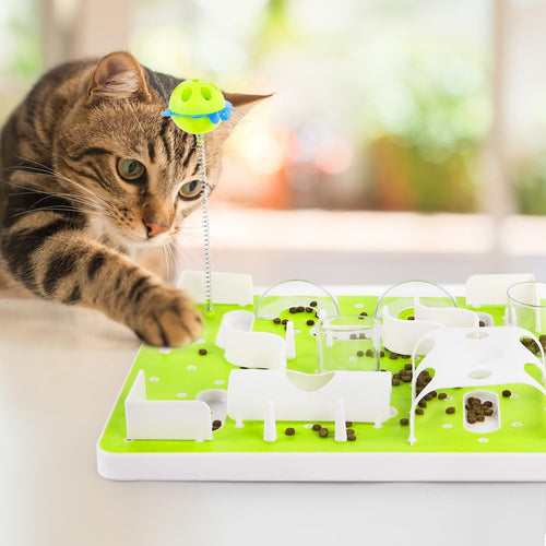 Cat Treat Maze Puzzle