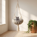 A grey British Shorthair resting in the cream macrame hanging cat bed, suspended in a sunlit room with pale oak floorboards.