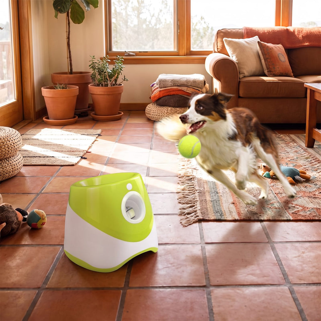 Automatic Tennis Ball Launcher